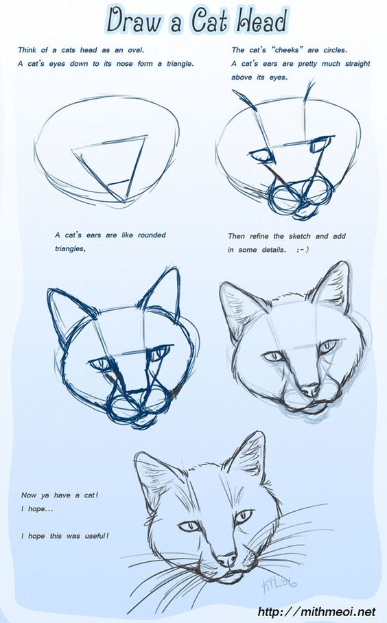 20 Adorable Tutorials On How To Draw a Cat - The Things to Draw Journey