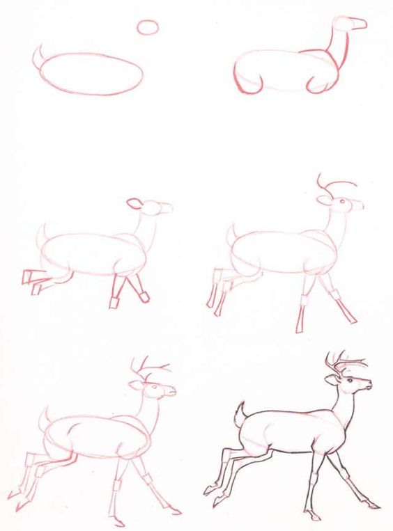 deer2