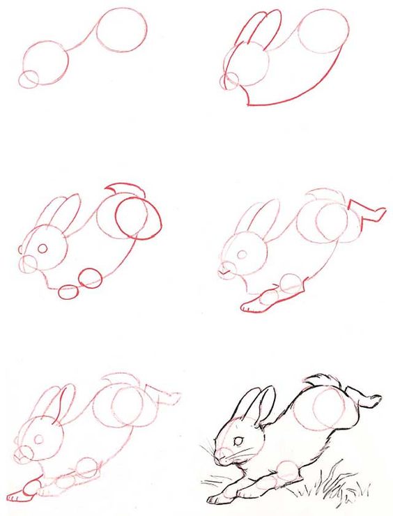 rabbit9
