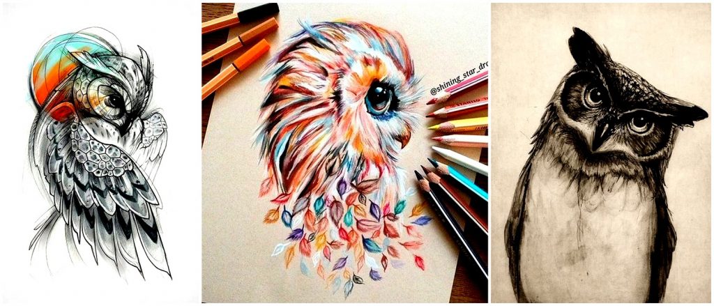 owl drawing ideas